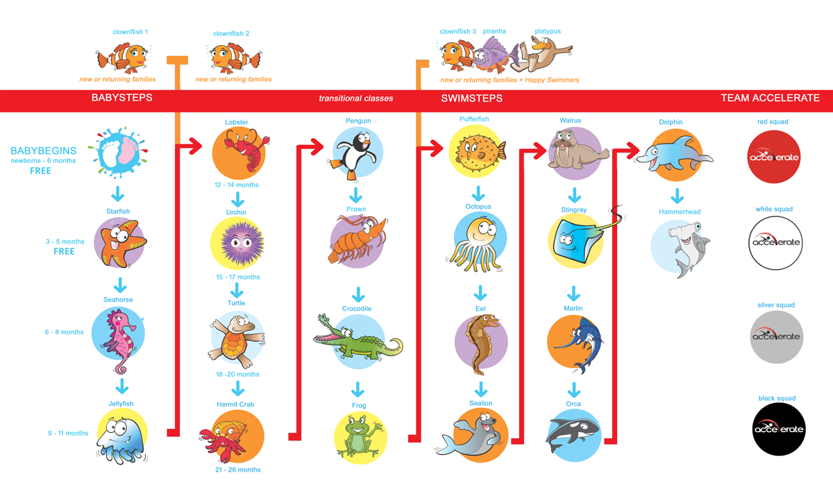 Programs-overview-2020-1200px_DR Programs-overview-2020-1200px_DR