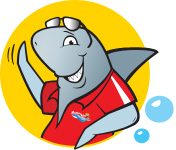 shark-right-bubble shark-right-bubble